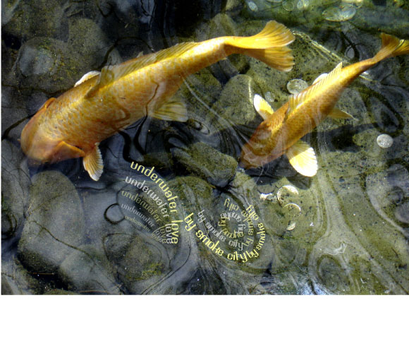 fishpic